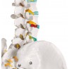 Szkielet człowieka „Oscar” 2960 Erler Zimmer model anatomiczny