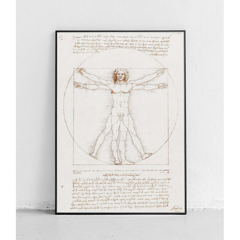 Plakat anatomiczny „Człowiek witruwiański”