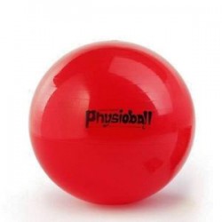 Pezzi Physioball 95cm -...