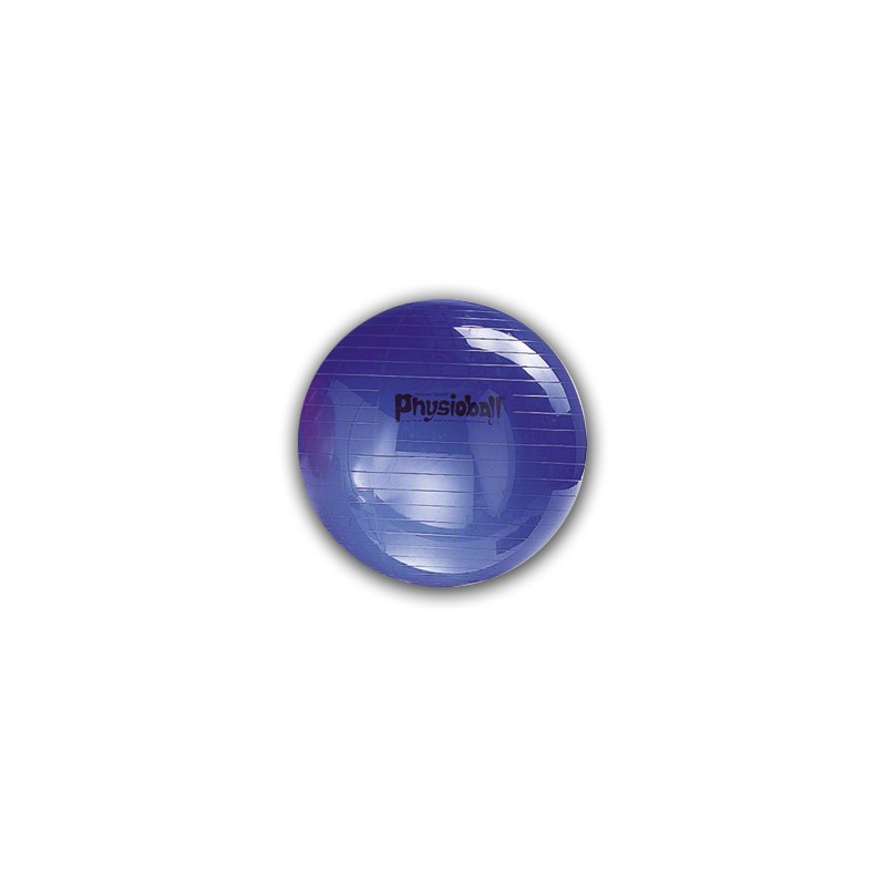 Pezzi Physioball 85cm - niebieska + podstawka pod piłkę Ledragomma