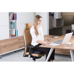 Poduszka do siedzenia Pezzi Fit Sit® Evo